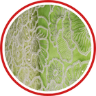 Net Fabrics